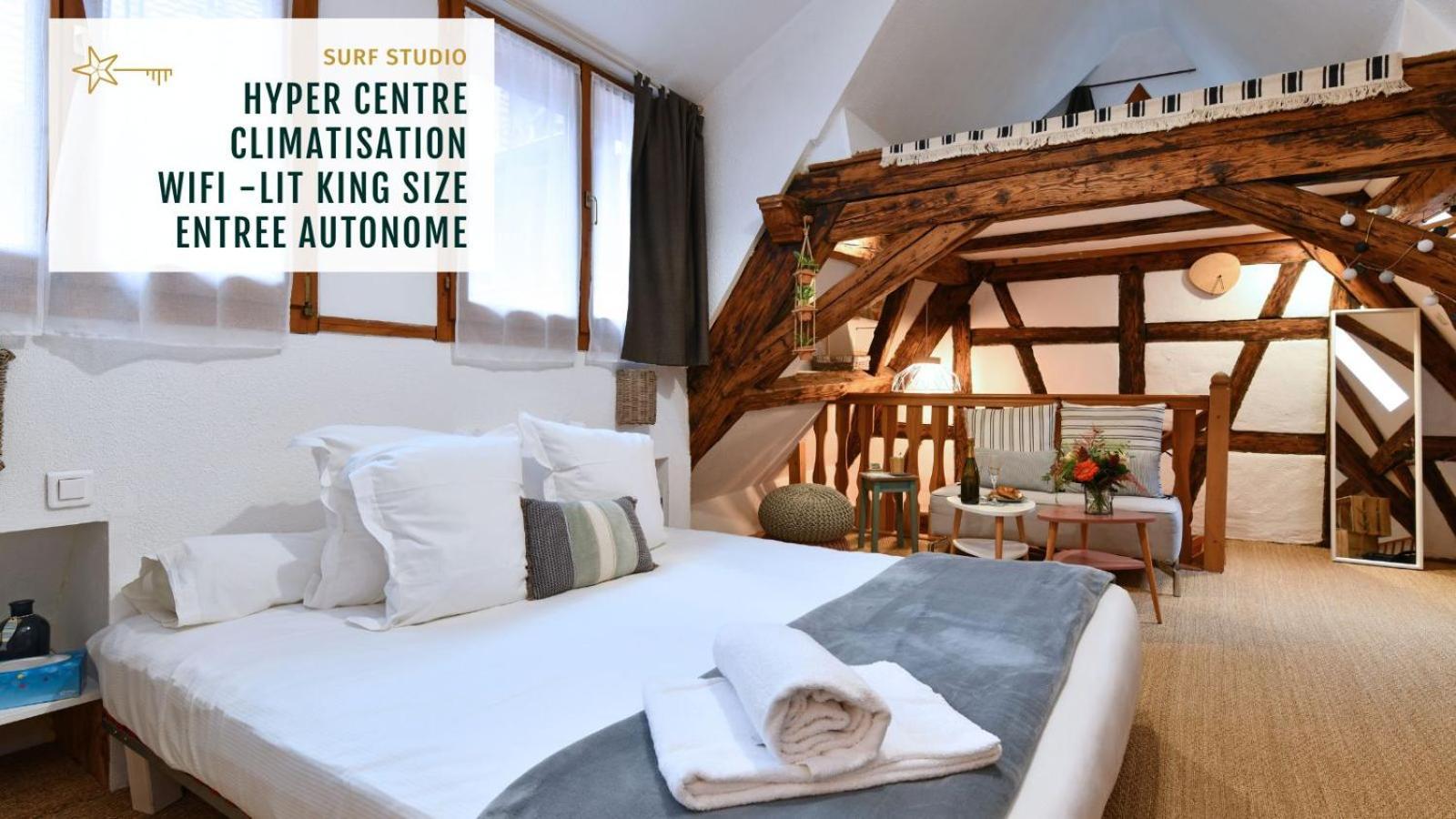 Gite See You Soon - Studio Surf Colmar Exterior foto